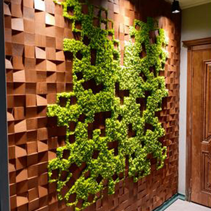 آموزش دیوار سبز در رشت طراحی دیوار سبز در رشت کلاس اموزش دیوار سبز